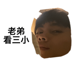 400008946