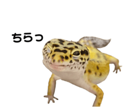 400078307