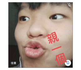 400136593
