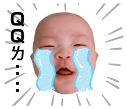 400229481