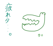 400327339