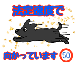 400331164