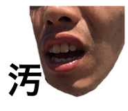 400336607