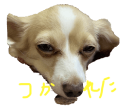 400340063