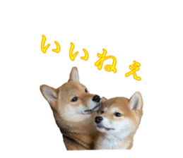 400366678