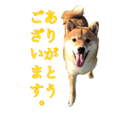 400366679