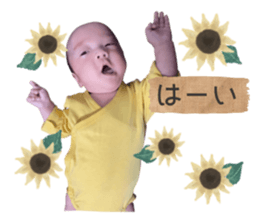 400384447