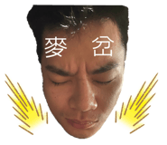 400426242
