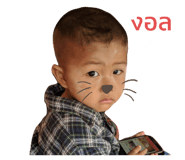 400478649