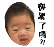 400499978