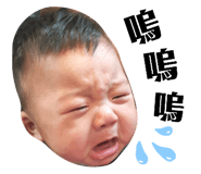 400499982