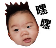 400500008