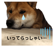 400621147