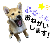 400621160