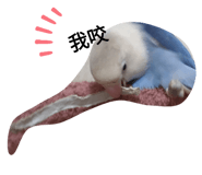 400692046
