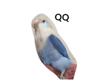 400692048