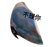 400692052