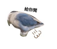 400692053