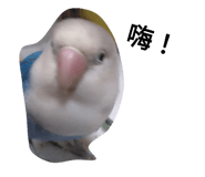 400692062