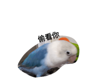 400692065
