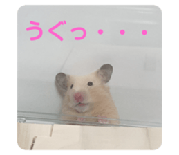 400722486