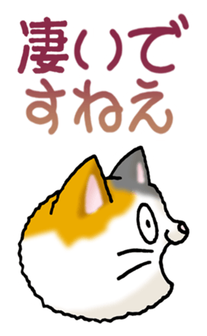 400848920