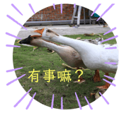 400952150