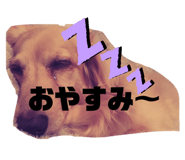 400961702