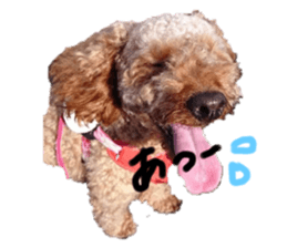401042966