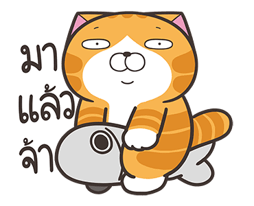 เหมียวซ่า : อย่าใจร้อน รูปที่ 1
