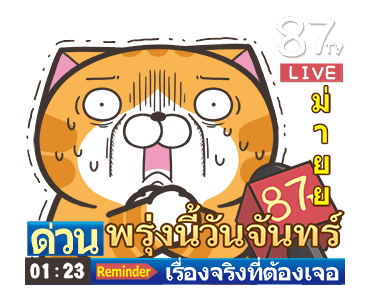 เหมียวซ่า : อย่าใจร้อน รูปที่ 14