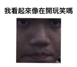 401103219