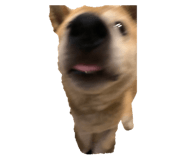 401170427