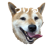 401170434