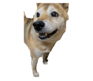 401170440