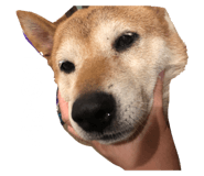 401170441