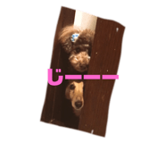 401188745
