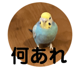 401355172