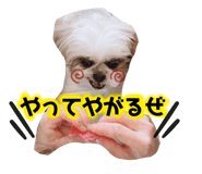 401395491