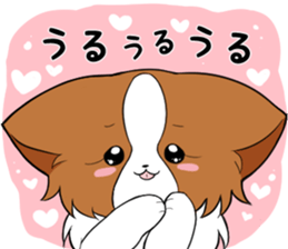 401415645