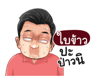 401441594