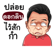 401453894
