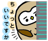 401504498