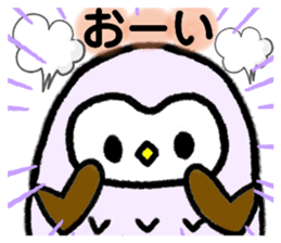 401613916
