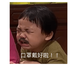 401613937