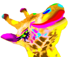 401646519