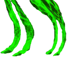 401646541