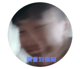 401733651