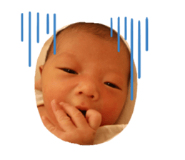 401771434