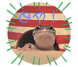401799445
